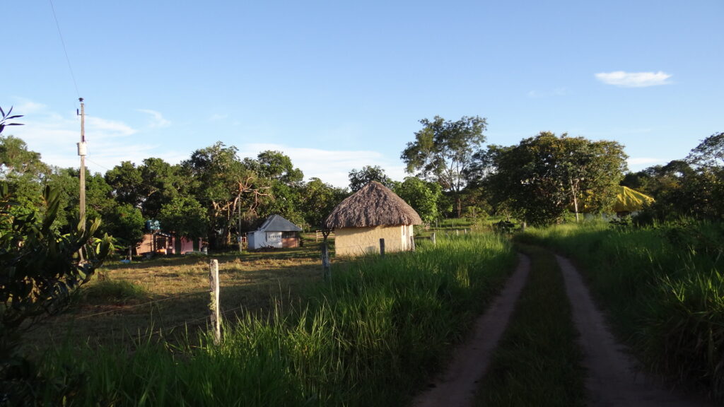 Estratégias relacionadas à conservação ambiental em reservas particulares no Mato Grosso do Sul, Brasil