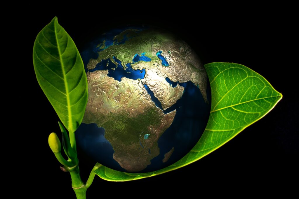 Organizações ambientais e sua importância para a sociedade